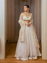 Ecru Burnt Organza Lehenga Set